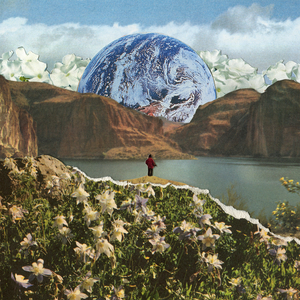 蔡司电影免费观看完整版
